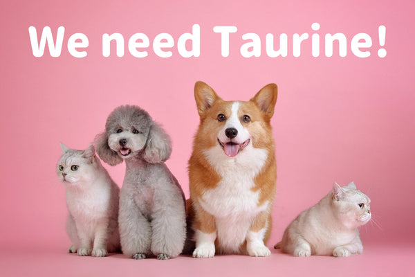 Cats and dogs need Taurine!