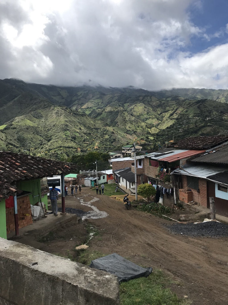 Aponte3