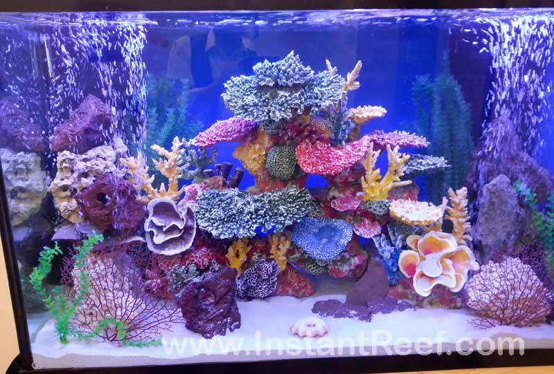Design Colorful Custom Aquariums,  Freshwater Fake Coral Reef Tanks