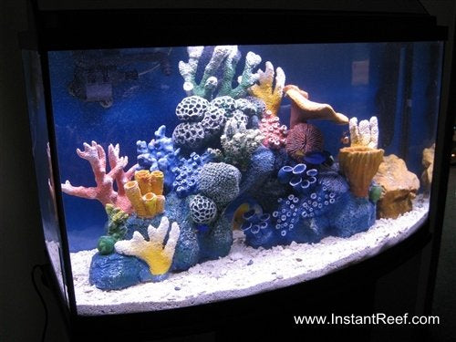 How to set up a saltwater fish-only aquarium with artificial corals