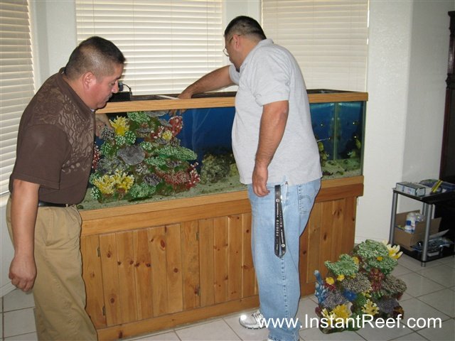 120 Gallon Saltwater Fish Only Aquarium Upgrade with Artificial Corals