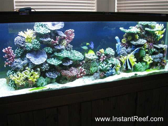 120 Gallon Saltwater Fish Only Aquarium Upgrade with Artificial Corals