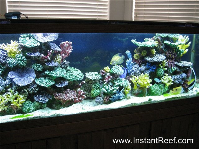 Setup 120 Gallon Saltwater Fish-Only Aquarium Design Upgrade with Artificial Corals