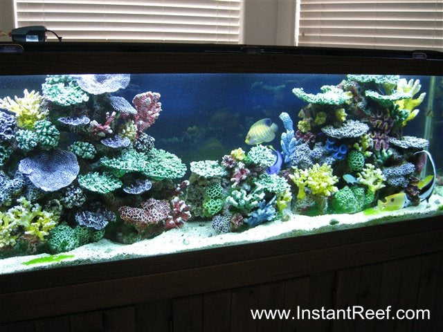 120 Gallon Saltwater Fish Aquarium with Artificial Corals