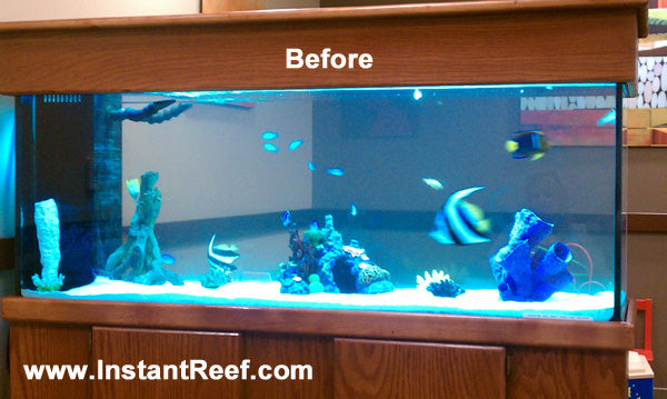 90 Gallon Marine Fish Tank Upgrade with Fake Corals