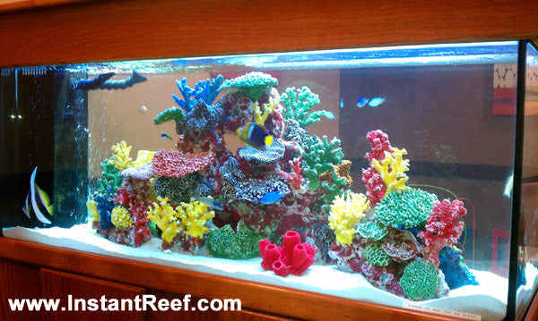 90 Gallon Marine Fish Tank Design Upgrade with Fake Corals