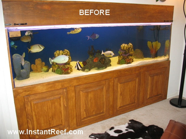 Upgrade 8-Foot Artificial Coral Reef Tank with Salt Water Fish