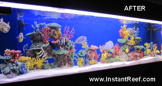 Setup the most beautiful and colorful 8-Foot Artificial Coral Reef Tank