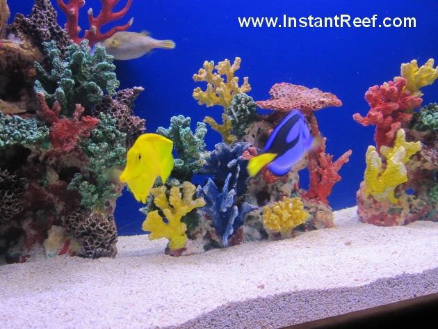 Upgrade 8-Foot Artificial Coral Reef Tank with Salt Water Fish