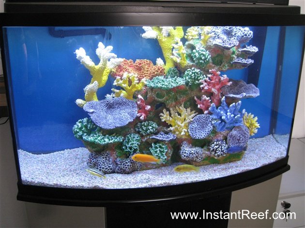 46 Gallon African Cichlids Colorful Freshwater Fish Aquarium