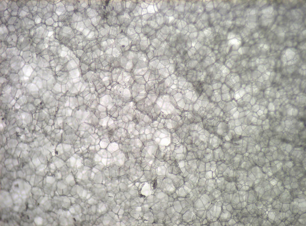 Varial Foam cell size micrograph