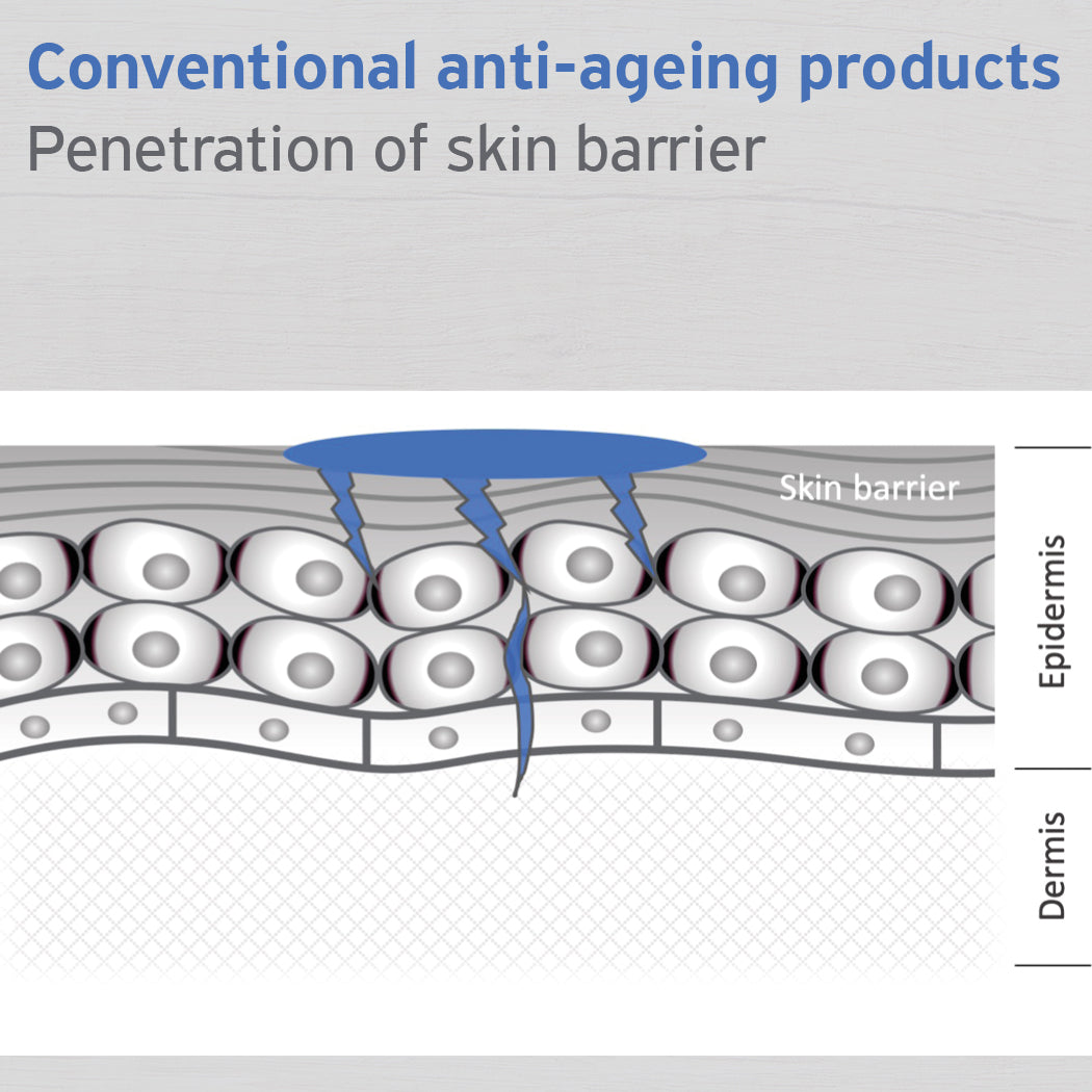 Conventional Anti-Aging Cosmetics