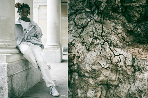 diptych of model seated and tree bark.