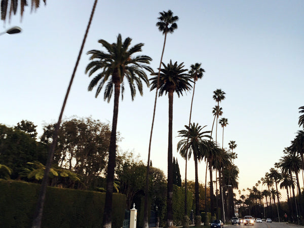 a street lined with palm trees at dusk.
