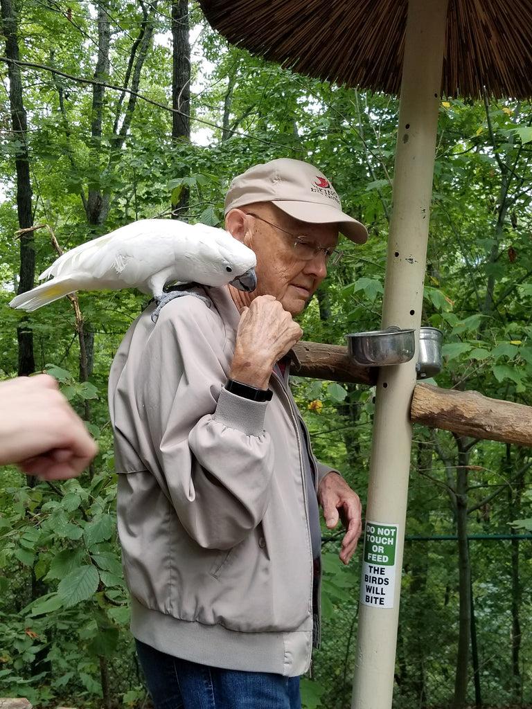 person with a cockatoo on their shoulder.