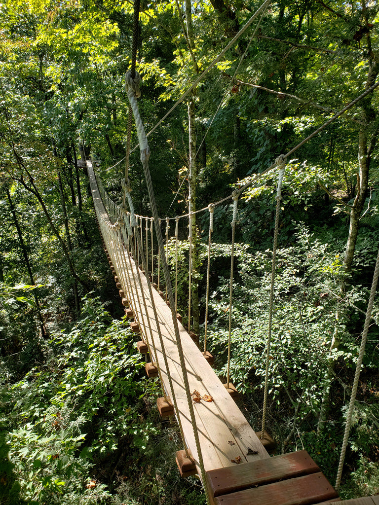 suspension bridge high up in the trees.