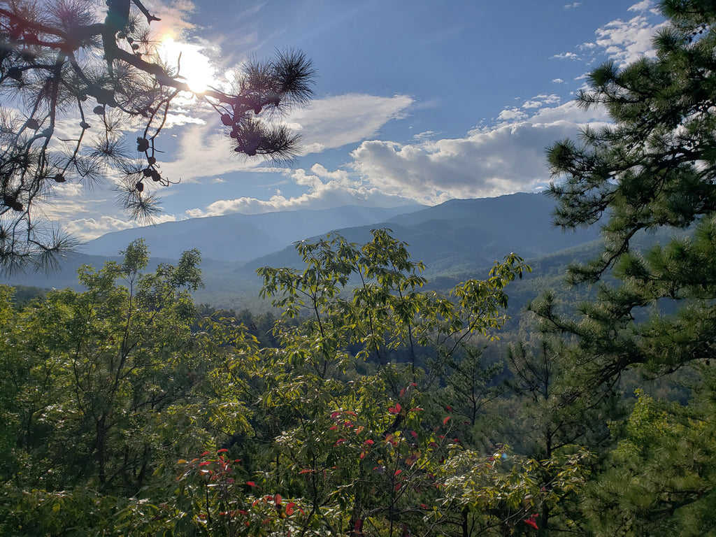 view of  smoky mountains and local foliage.