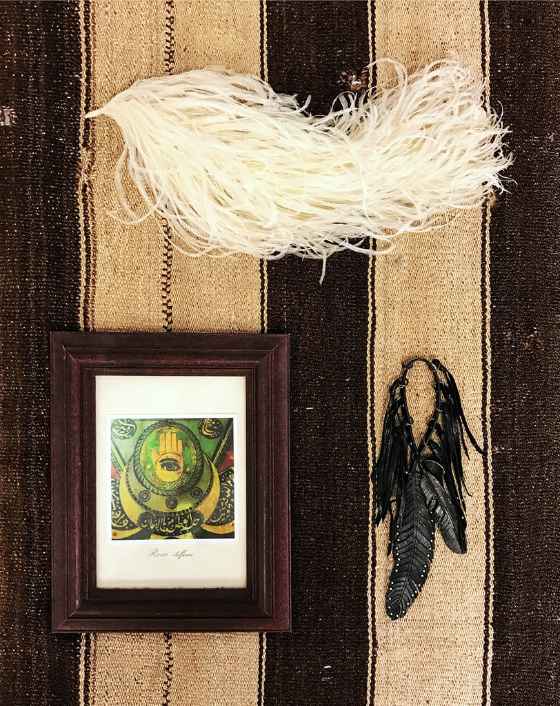 feather and framed picture on a rug still life.