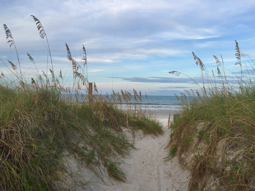 view of sand path to the beach. 