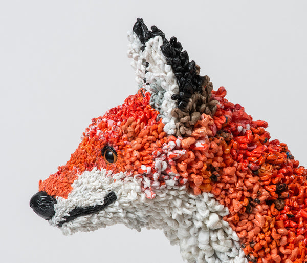 portrait of profile of fox.
