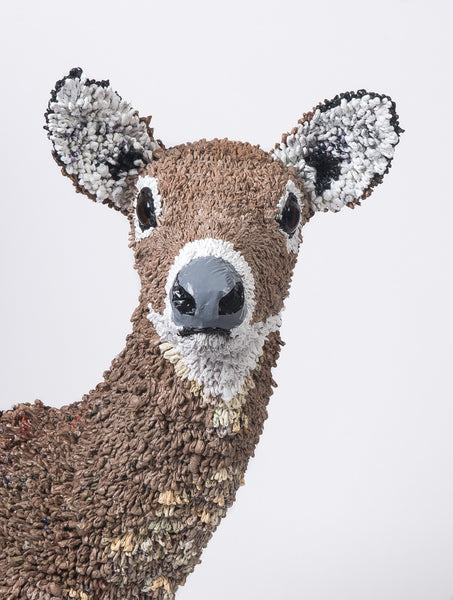 portrait of bust of deer.