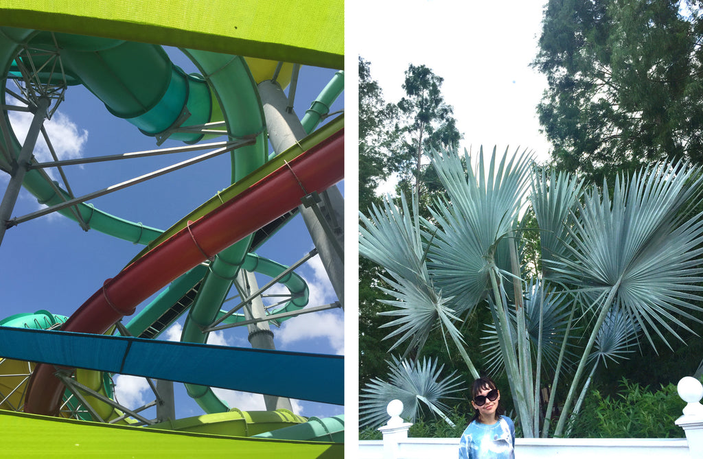 left to right: fall slide at water park, and a person smiling near bismark palm.