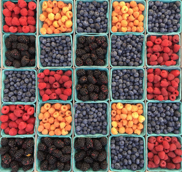 grid of various berries