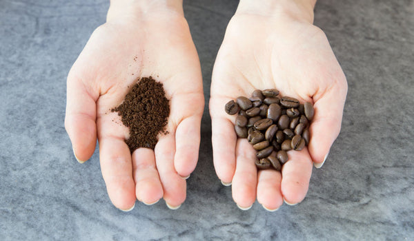 two hands next to each other, one holding ground coffee, and the other holding whole bean coffee