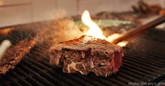 steak grilling