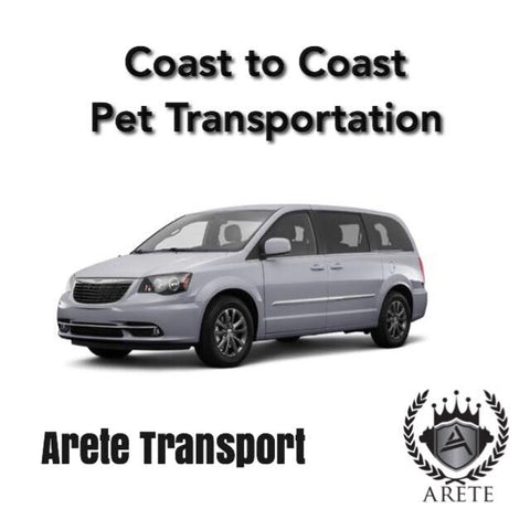 pet-transportation