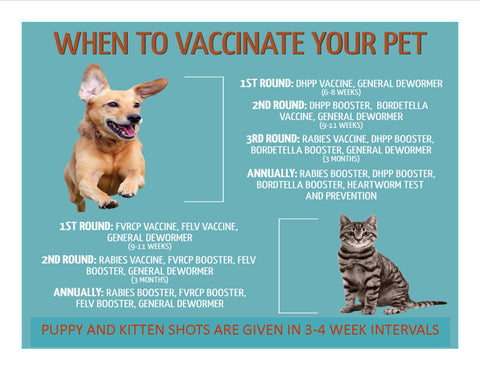 vacciness