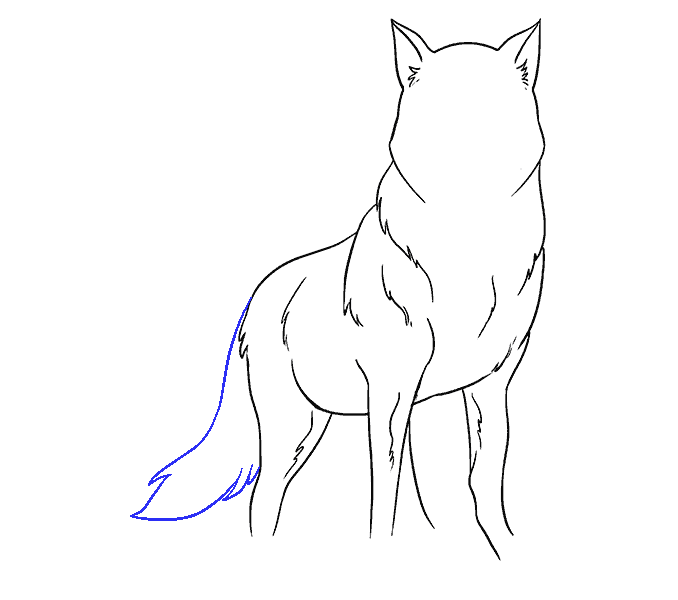 dessin loup facile 12