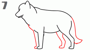 comment dessiner des loups faciles
