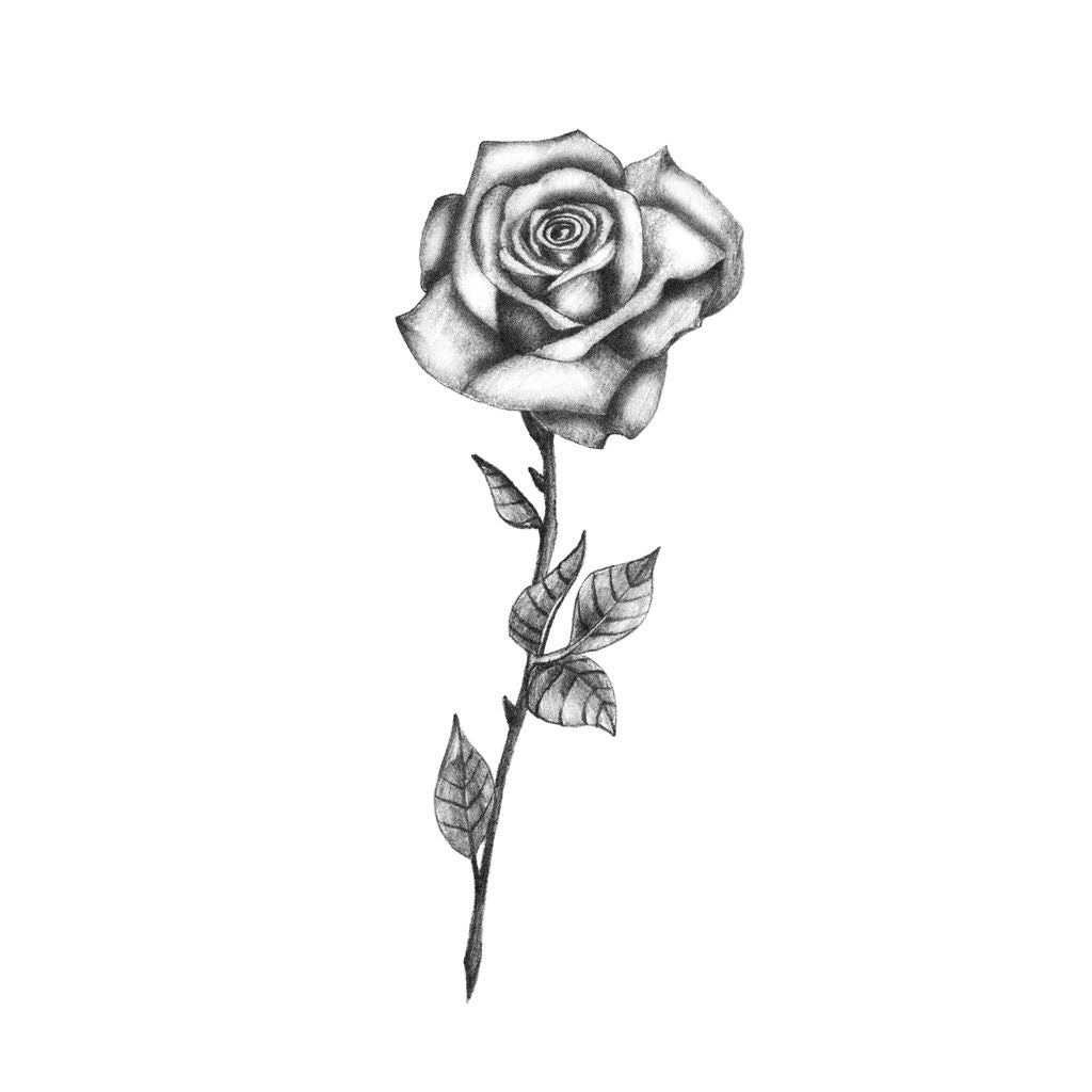 Delicate Black & White Rose Temporary Tattoo – TattooIcon