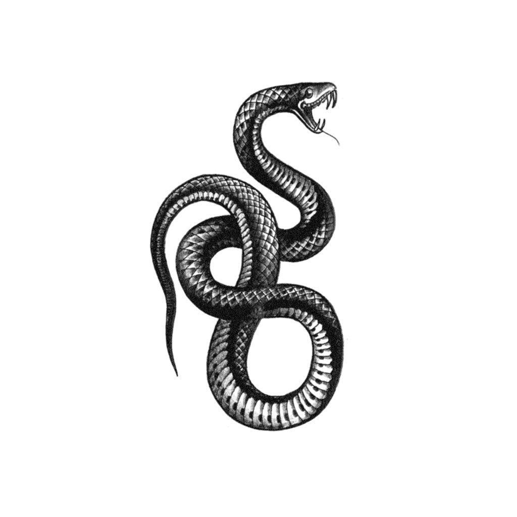 Serpent Tattoo - Realistic Temporary Tattoos | Tattoo Icon – TattooIcon