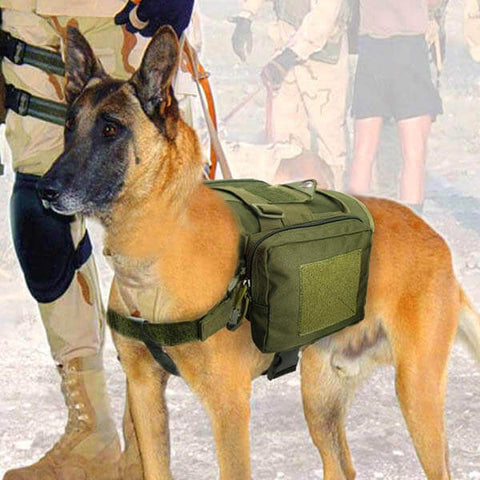 Titan Depot Dog Tactical Training Harness With Detachable Molle Pouch working dog