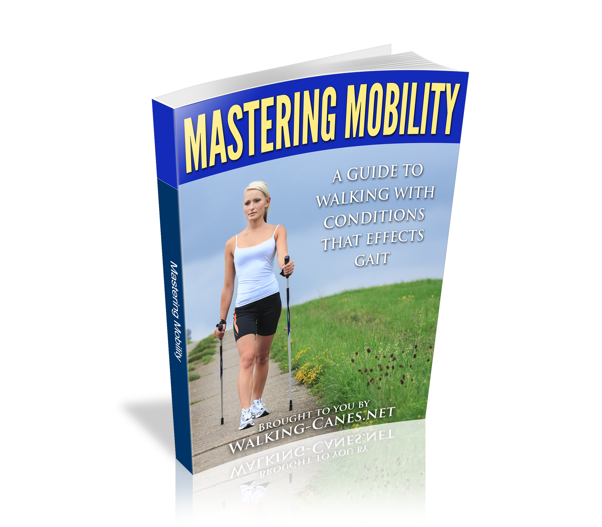 Mastering Mobility ebook