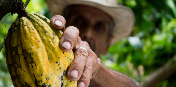 Productos de belleza naturales - Colombia - Mae Selva