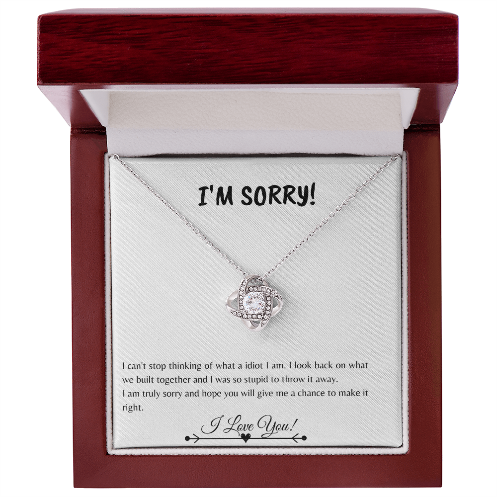 I'm So Sorry | Love knot Necklace