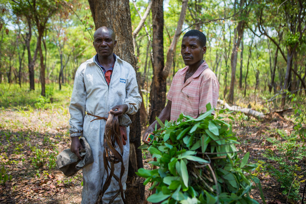 Vincent with his mentor beekeeper Cedrick before they begin harvesting organic, fair trade honey and beeswax
