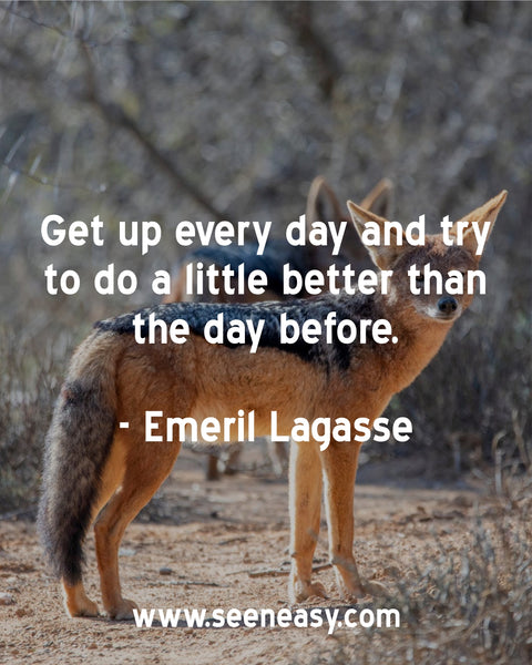 Get up every day and try to do a little better than the day before. Emeril Lagasse