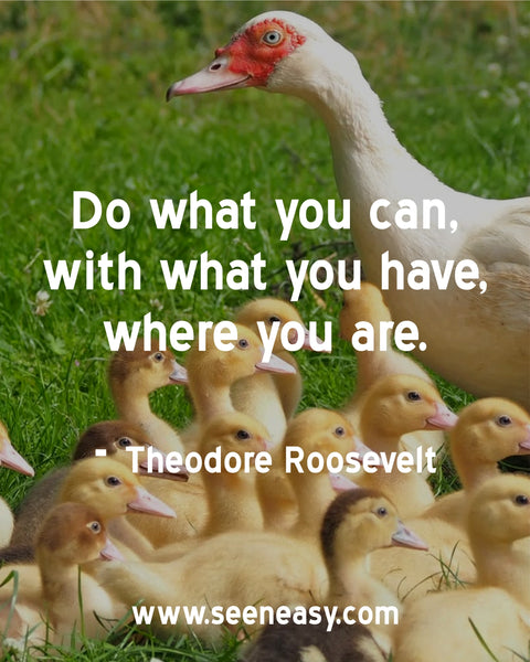 Do what you can, with what you have, where you are. Theodore Roosevelt