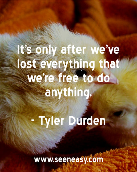 It’s only after we’ve lost everything that we’re free to do anything. Tyler Durden