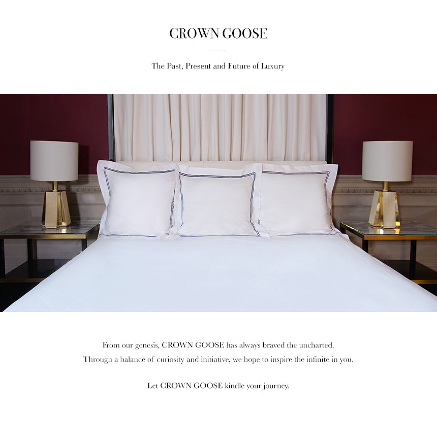 crowngoose-european down pillow sham set