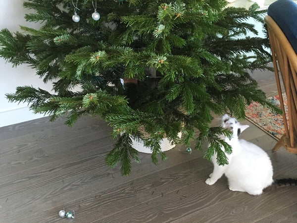 Cats and Christmas tree decorations