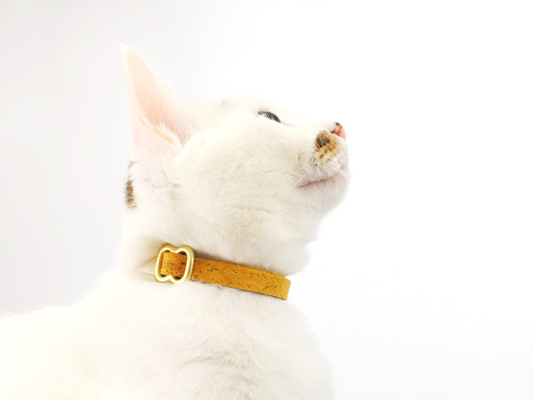 cat wearing mustard yellow cat collar in vegan cork leather with bell