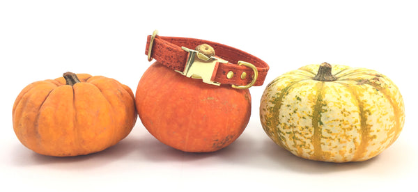 Orange vegan cork leather Halloween dog collar with pumpkins