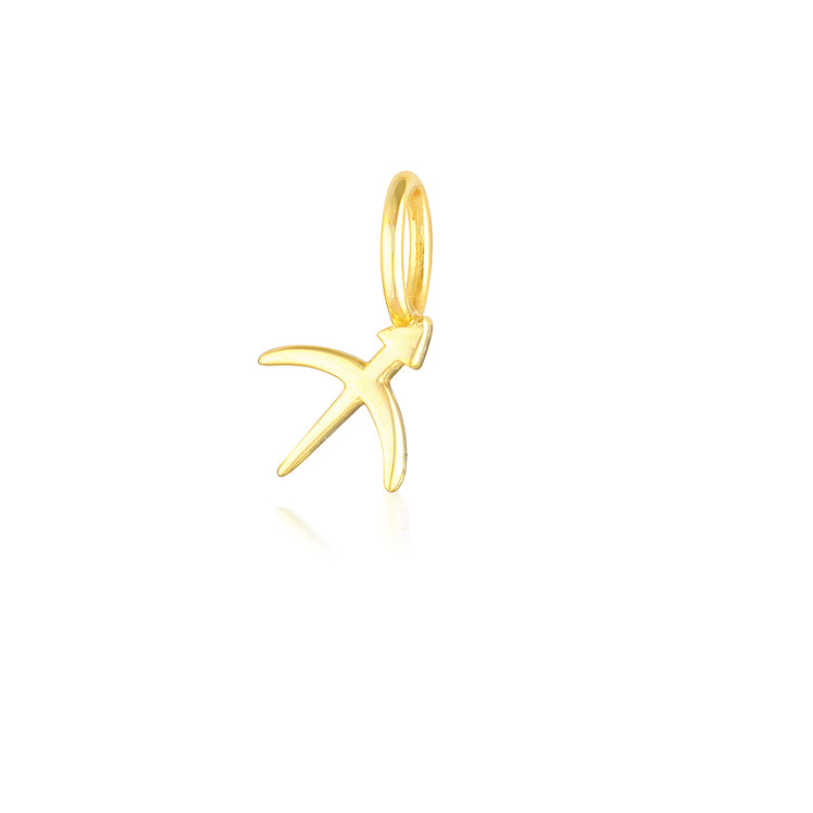 Sagittarius Charm