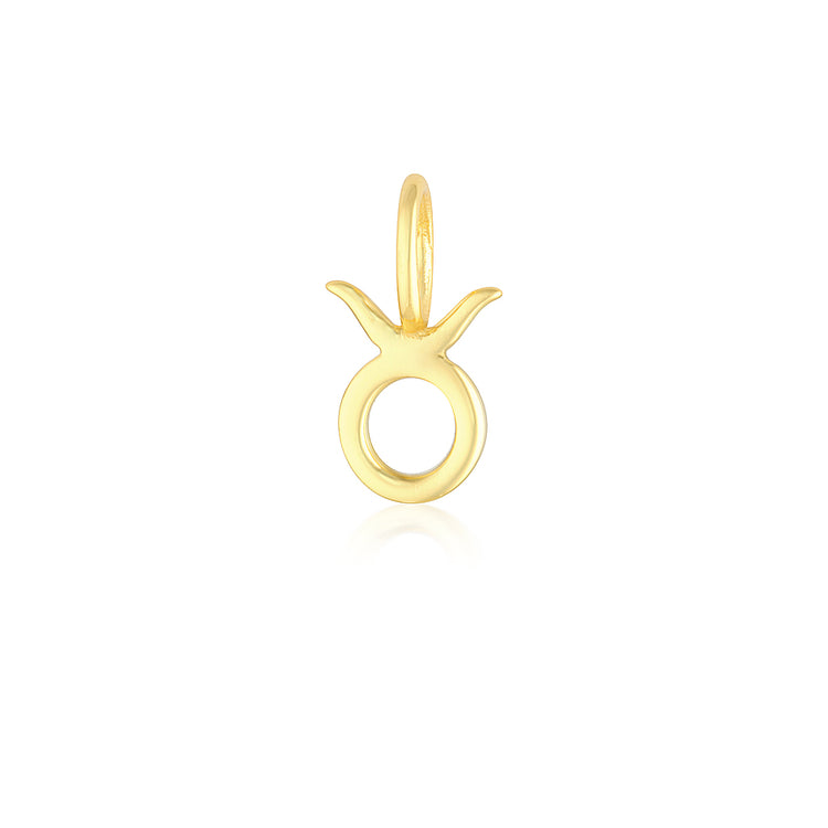 Taurus Charm