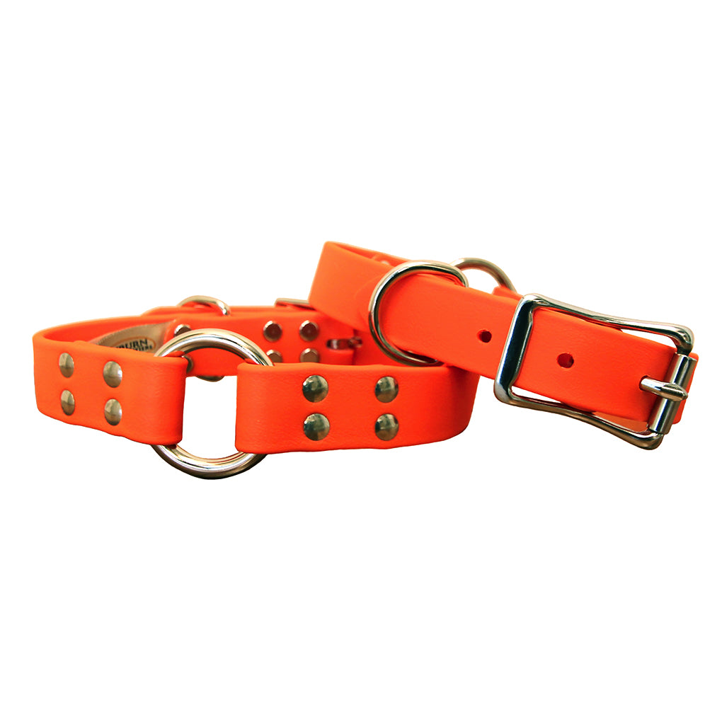 are buckle dog collars safe